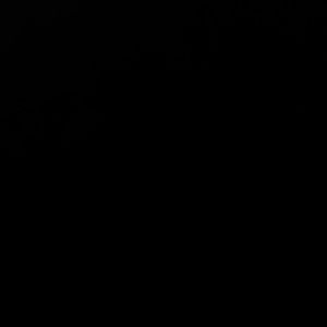 Meet your Posher, Halie